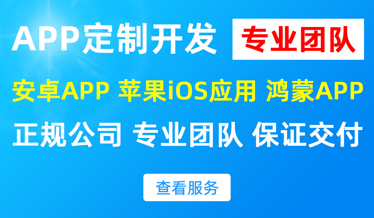APP定制开发