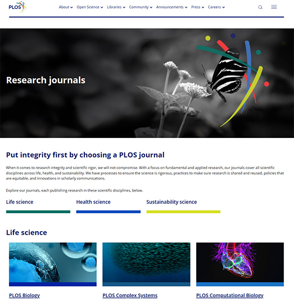 1773656764700849.jpg ambra.jpg